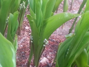 20140421_091944
