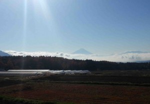雲海富士山