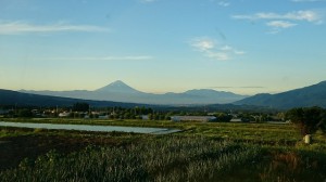DSC_0063
