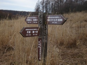 IMG_3273