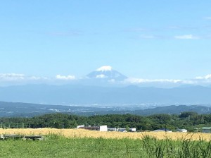 IMG_1129