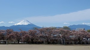 IMG_1981