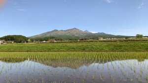 IMG_2706