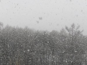 IMG_3190