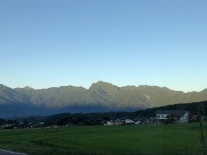IMG_3462