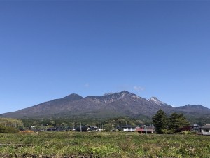 IMG_4028