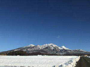IMG_4599